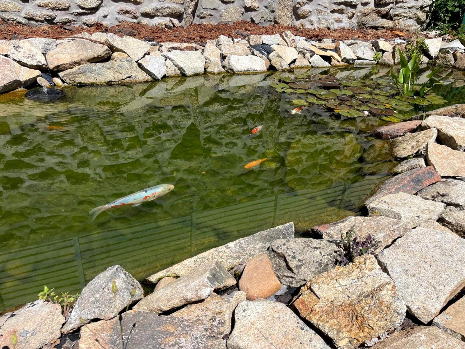 Cantinho D'Aldeia - Jacuzzi Guarda Eksteriør bilde